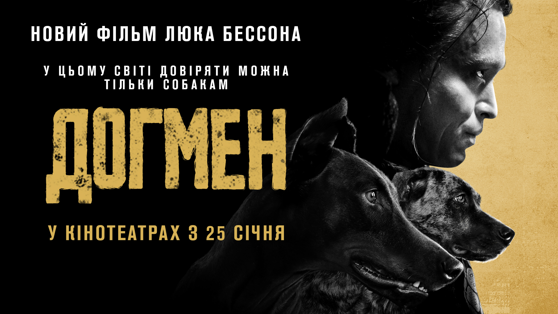 Догмен