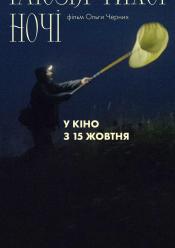 Ілюзія тихої ночі
